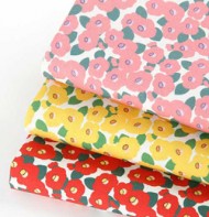 ��ǰ ������