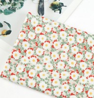 ��ǰ ������